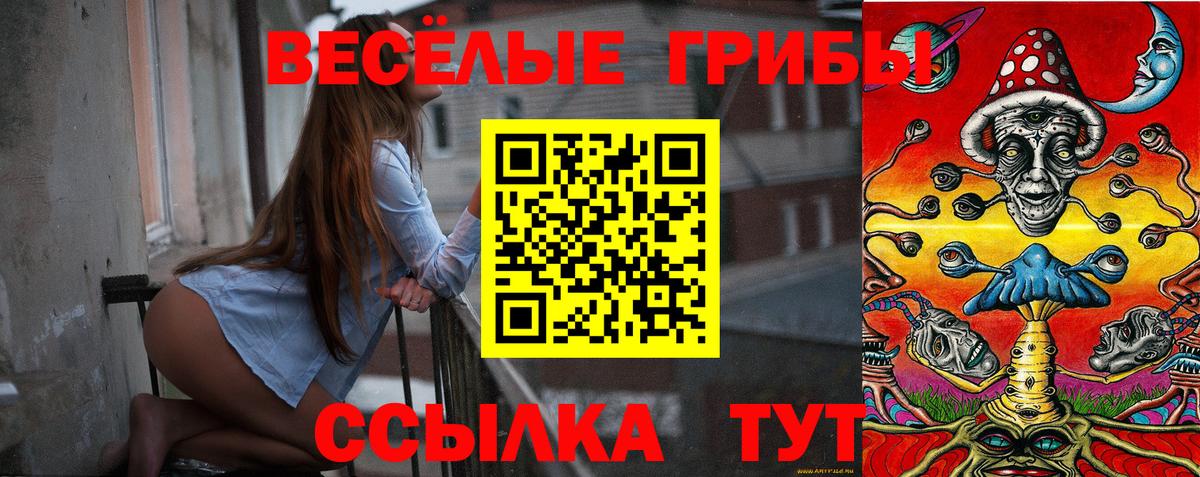 Галлюциногенные грибы Magic Shrooms  Галлюциногенные грибы мухоморы  Ессентуки  Вход с VPN 